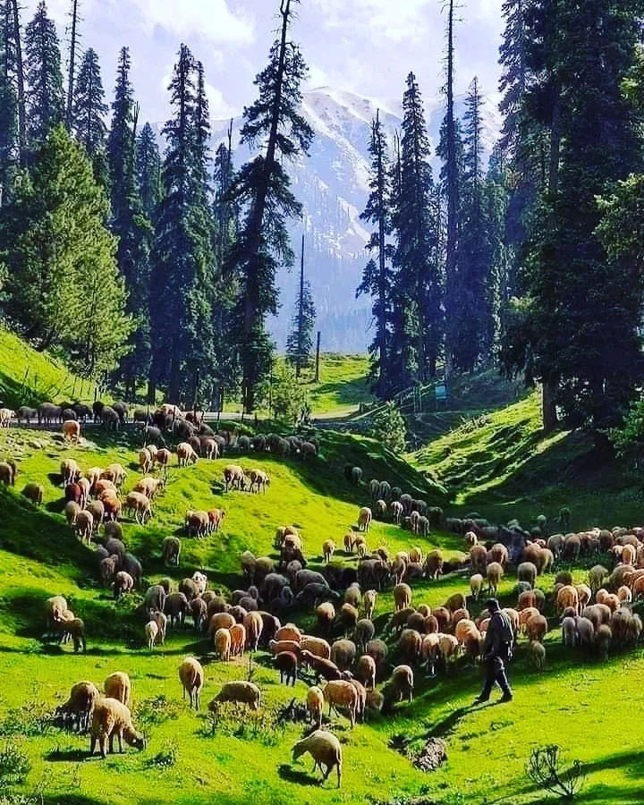 Family Tour